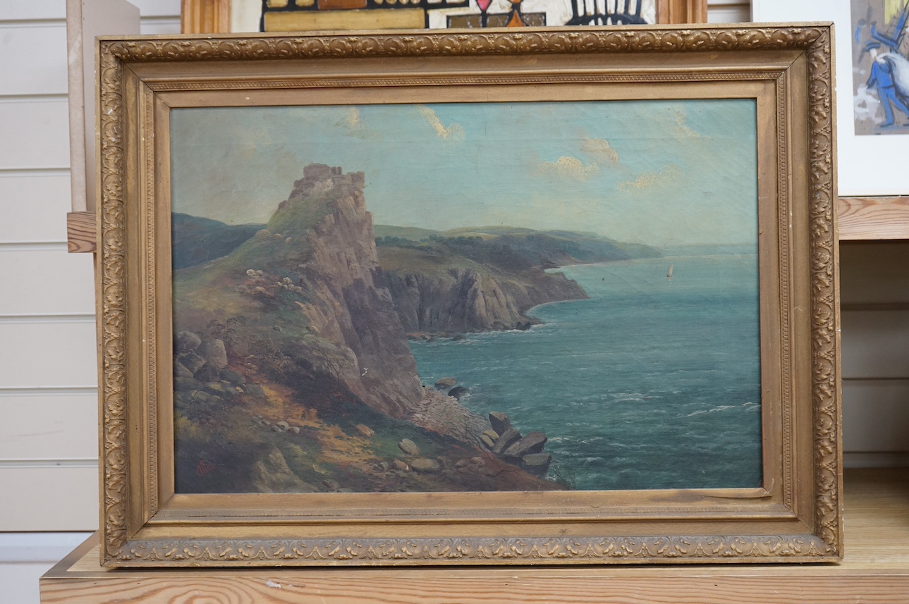 Allan, oil on canvas, Rocky coastal view, signed, 39 x 59cm, ornate gilt framed. Condition - fair, in need of a clean